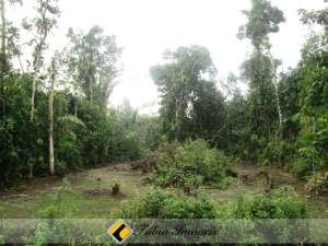 Terreno em Peruíbe para venda